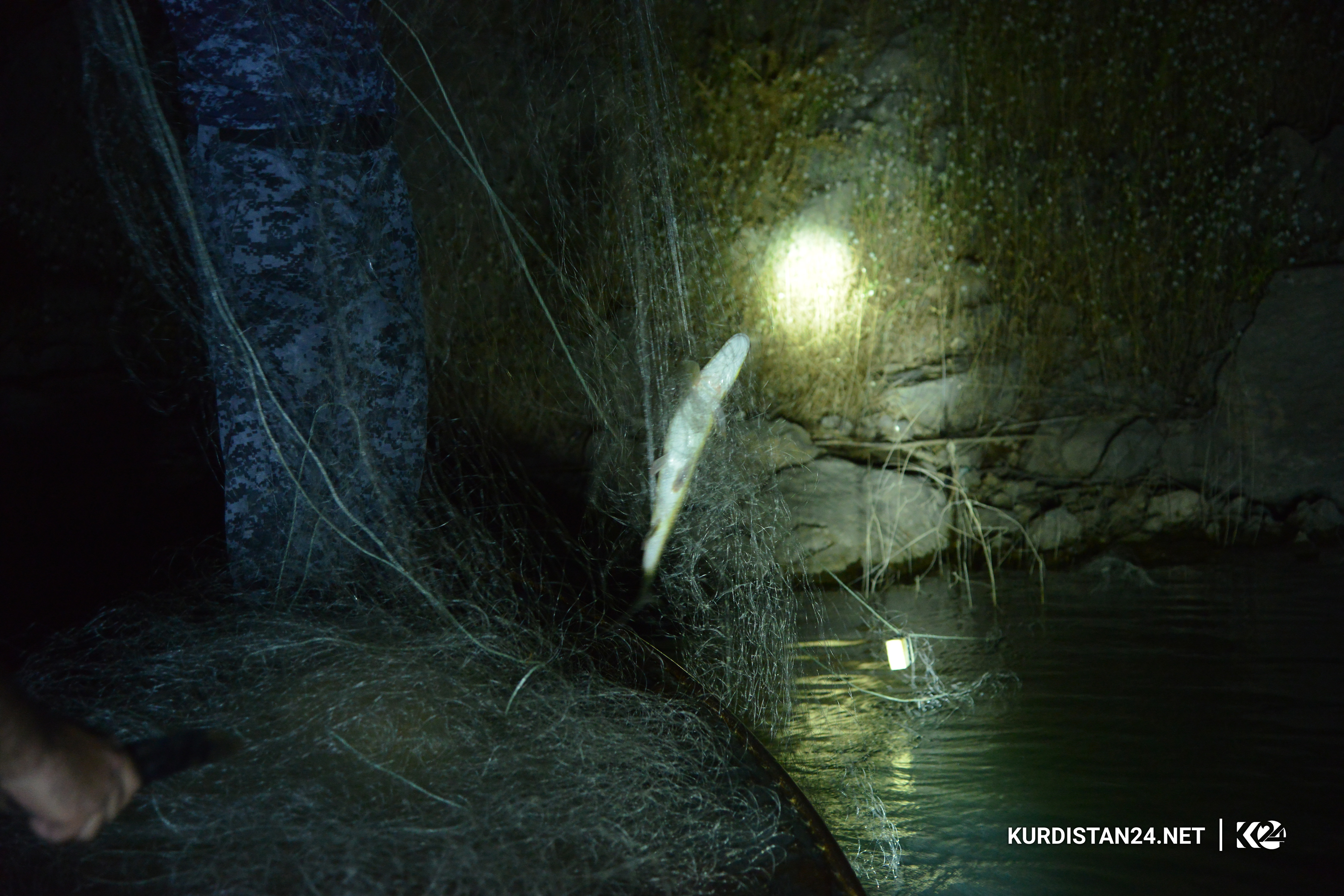 كاری شه‌وانه‌ی پۆلیسی دارستان بۆ پاراستنی ژینگه‌ی كوردستان ببینه‌